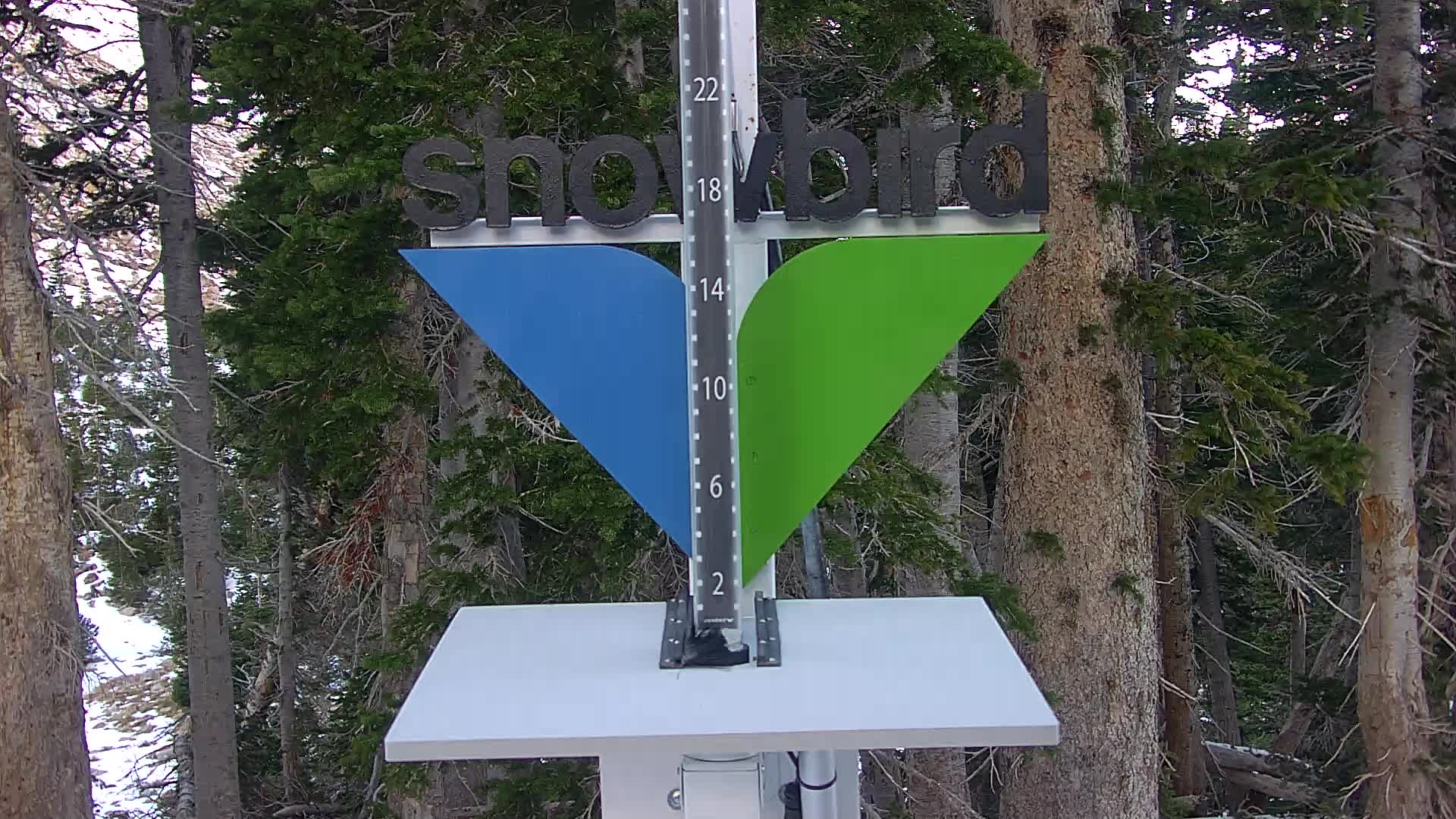Snowbird Snowstake Cam