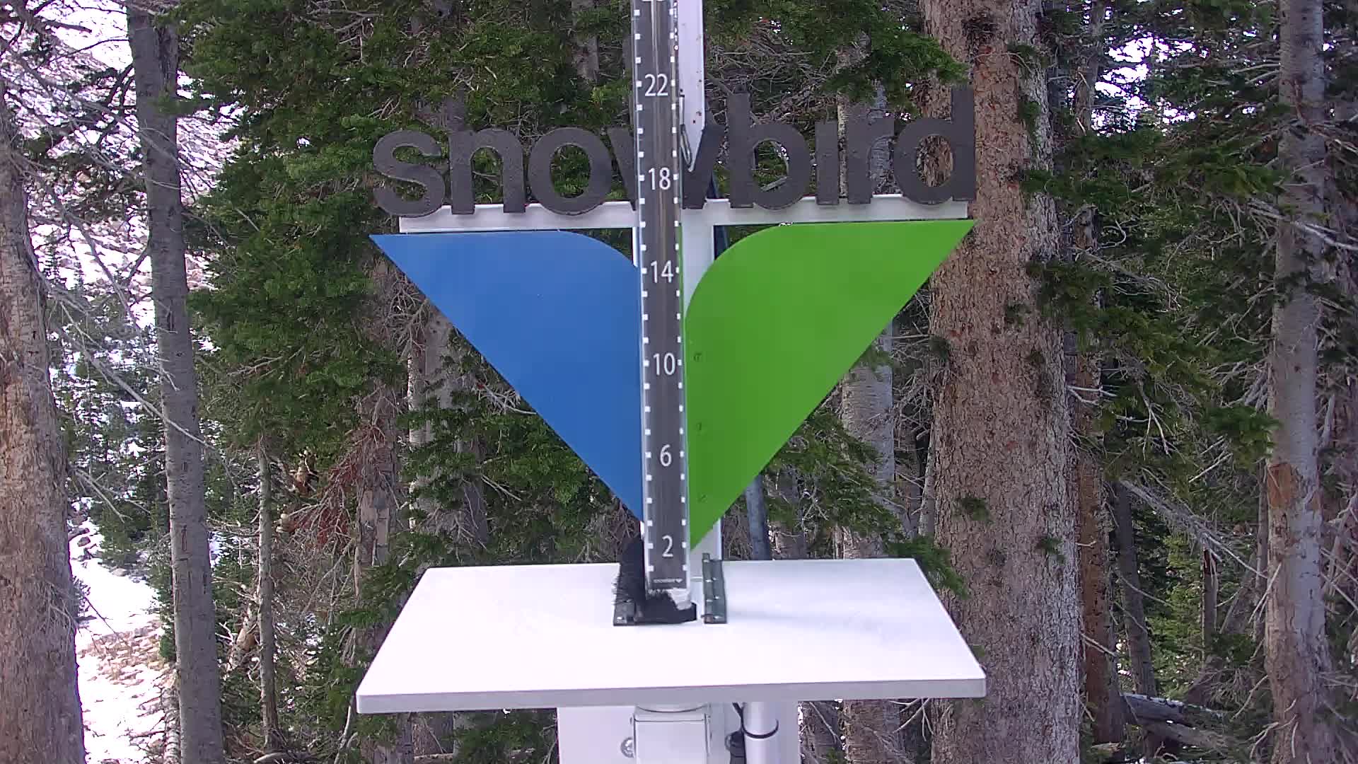 Snowbird Snowstake Cam