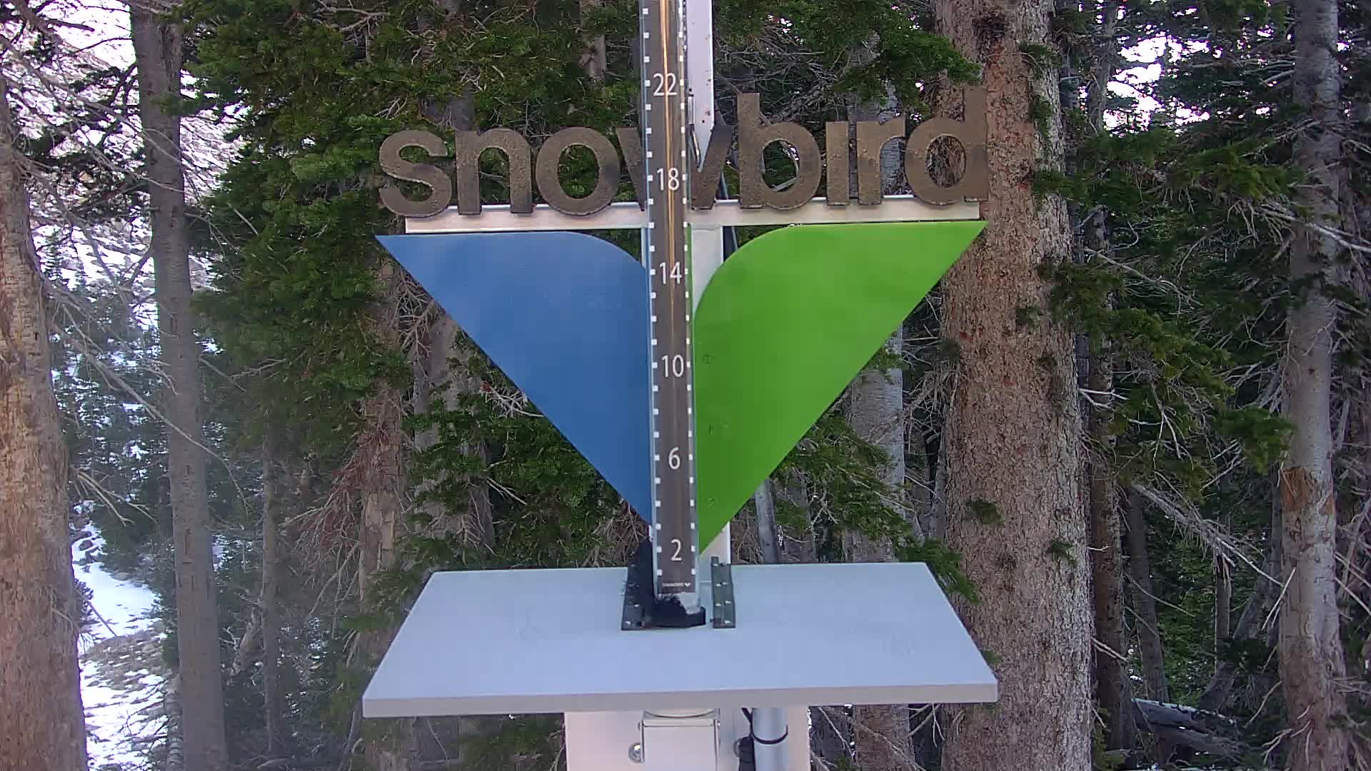 Snowbird Snowstake Cam