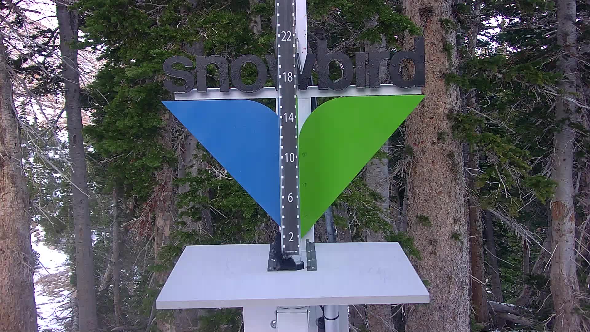 Snowbird Snowstake Cam
