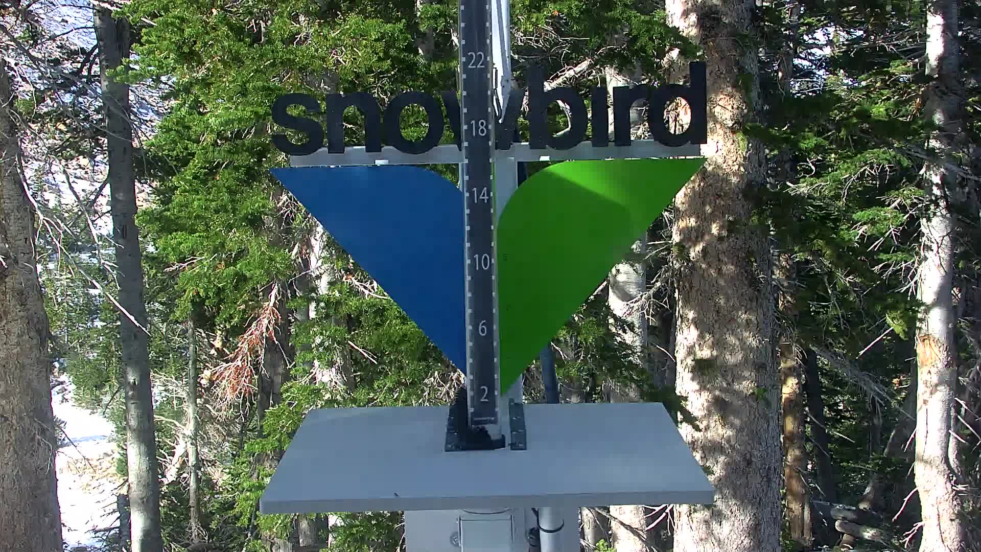 Snowbird Snowstake Cam