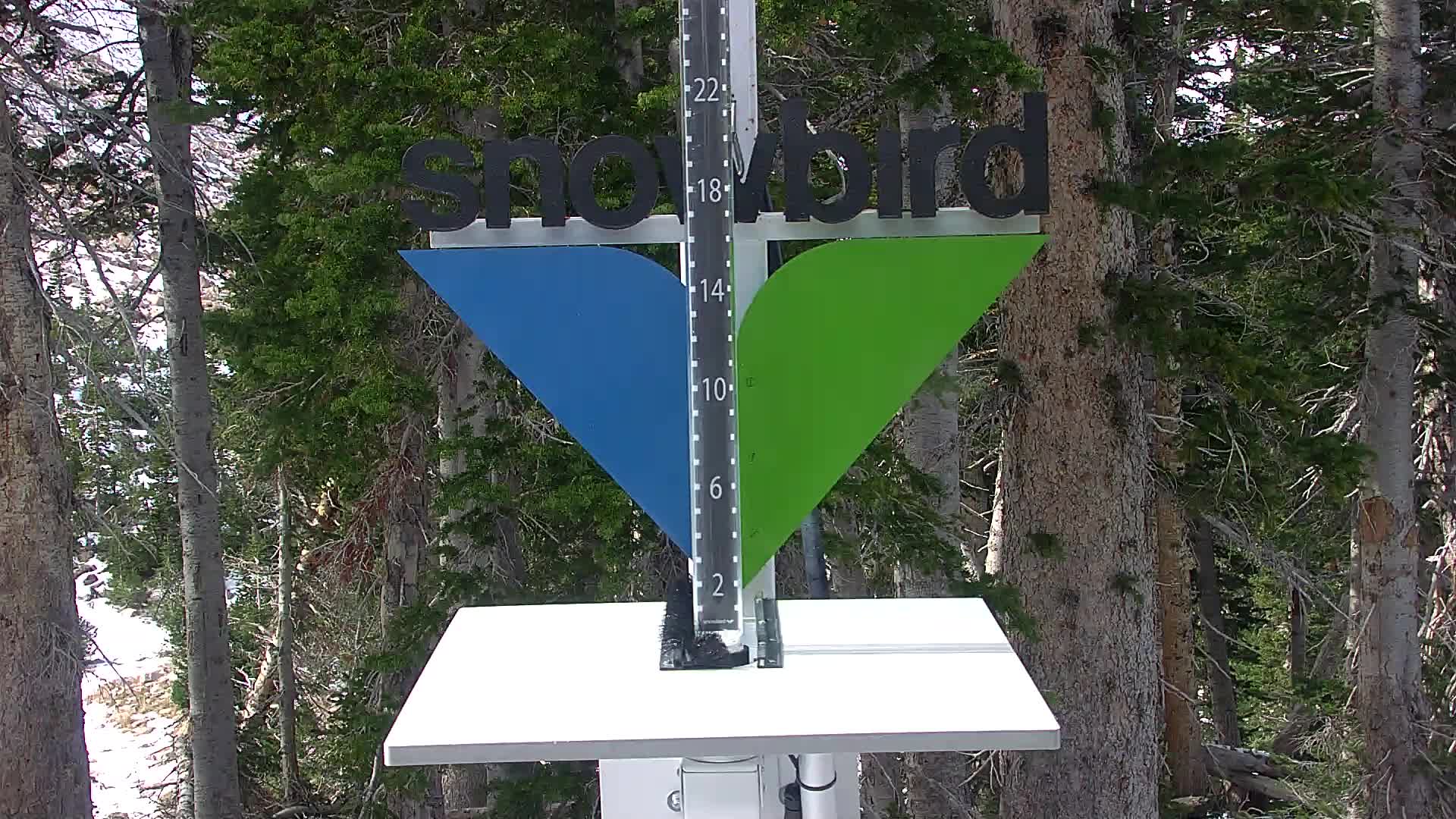 Snowbird Snowstake Cam