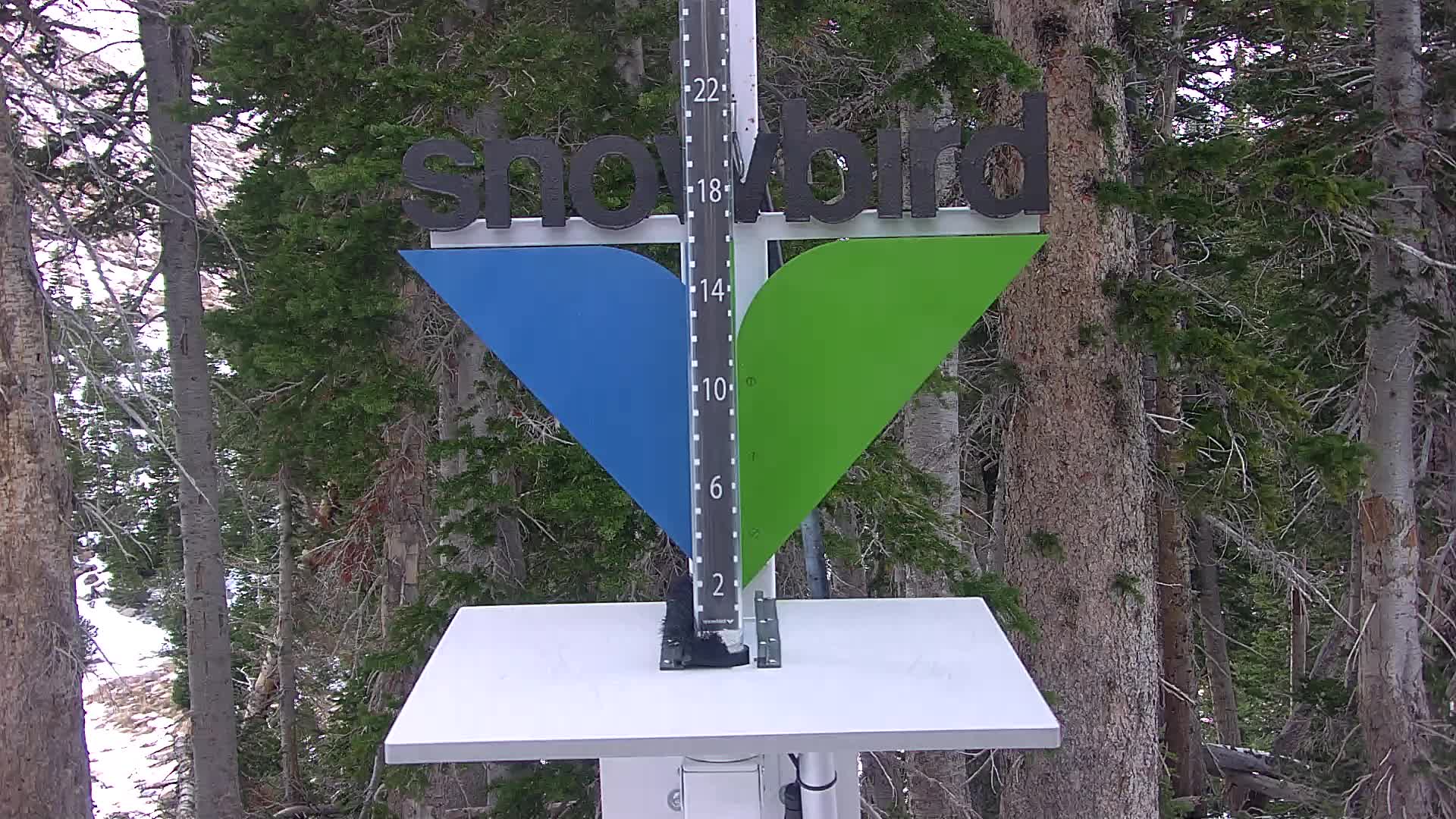 Snowbird Snowstake Cam