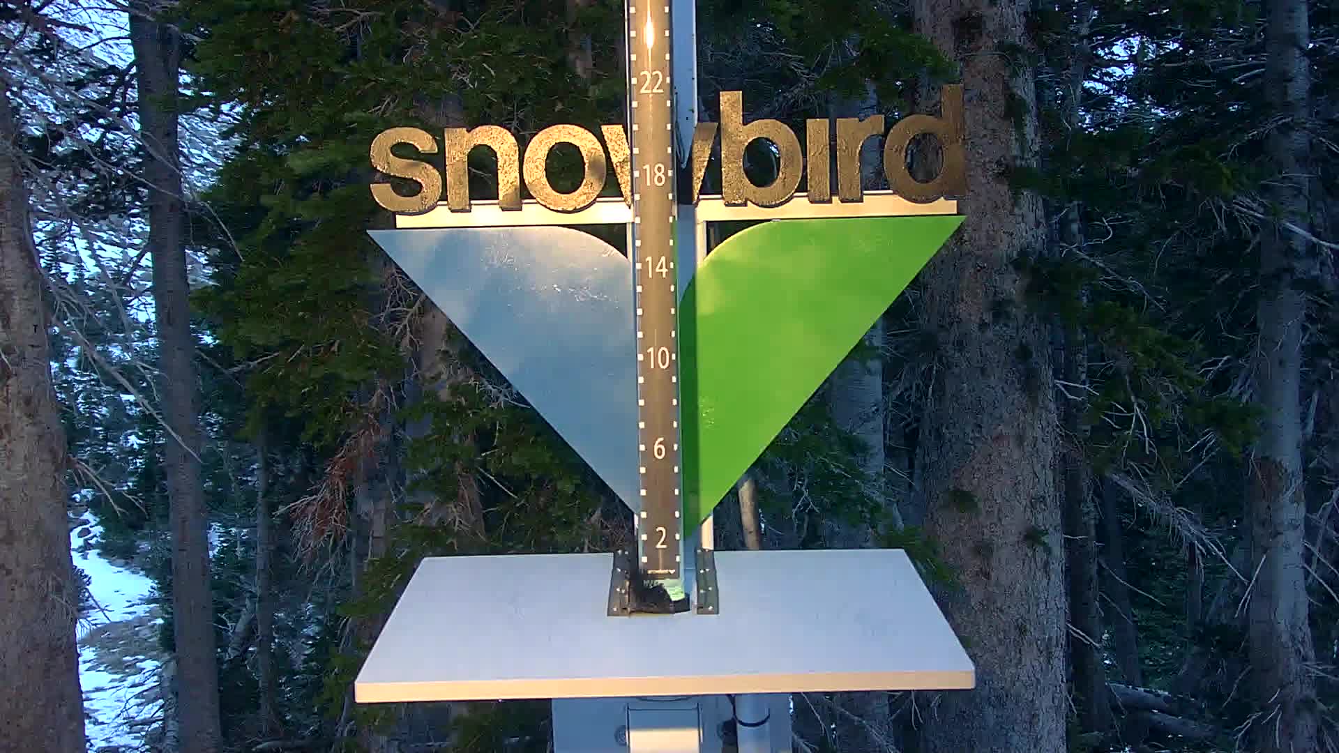 Snowbird Snowstake Cam