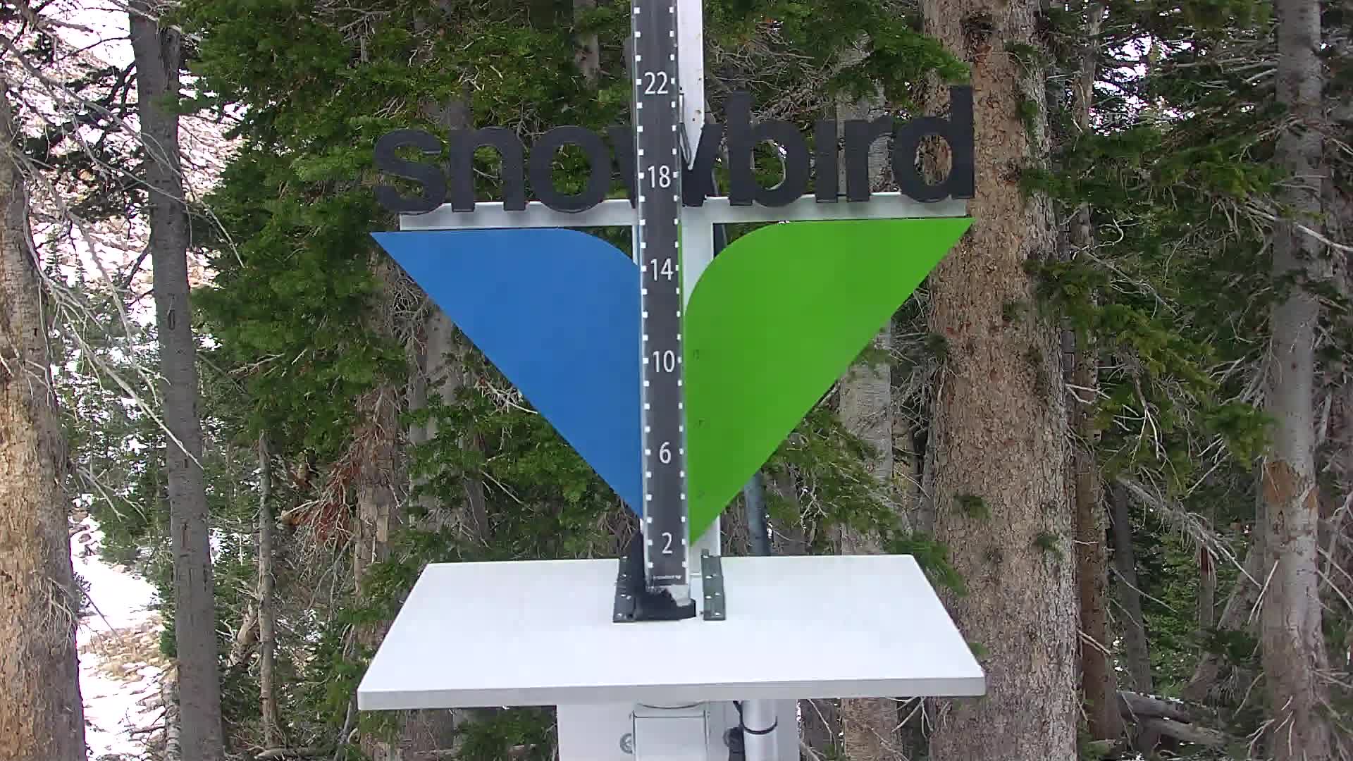 Snowbird Snowstake Cam