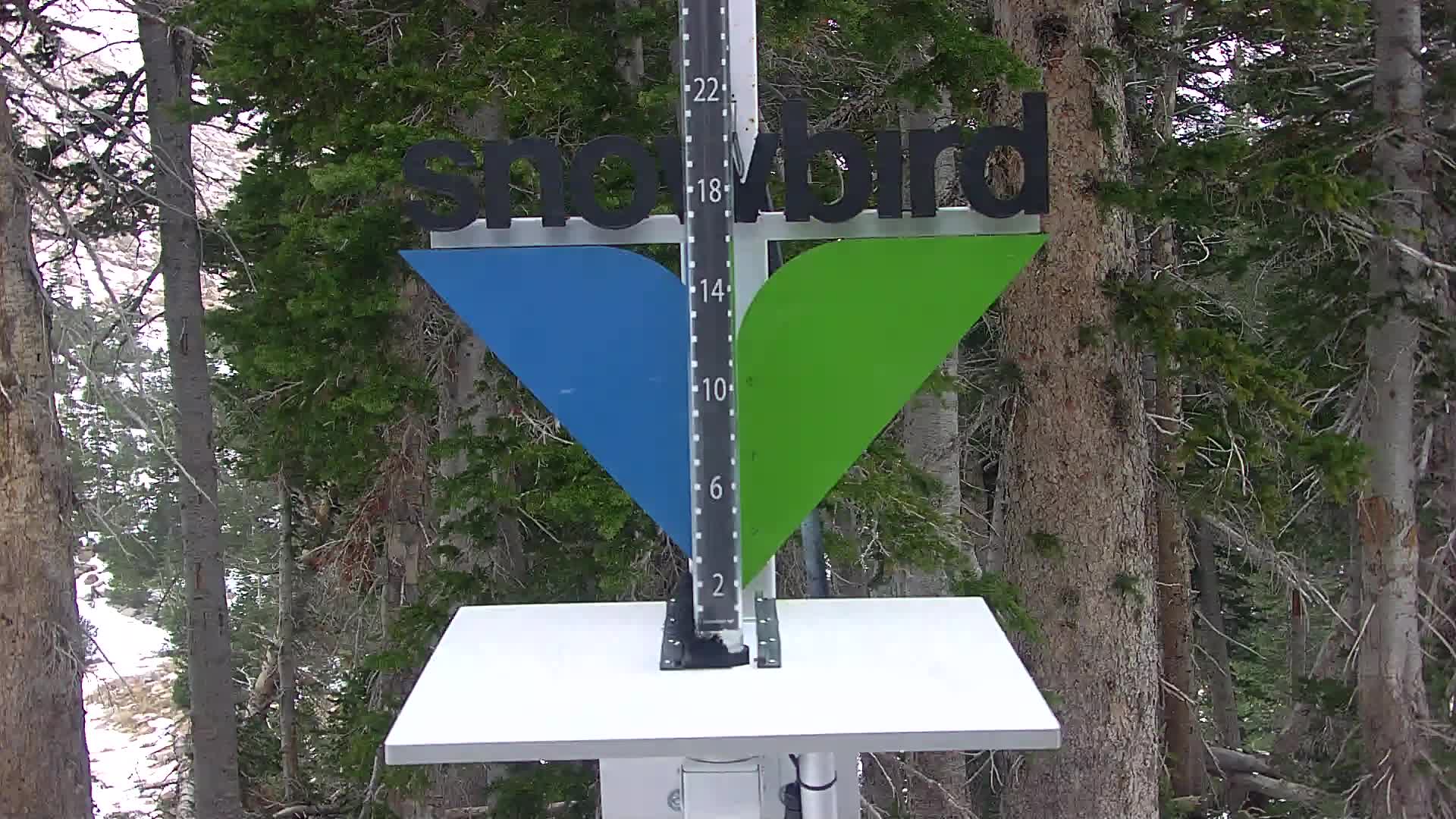 Snowbird Snowstake Cam