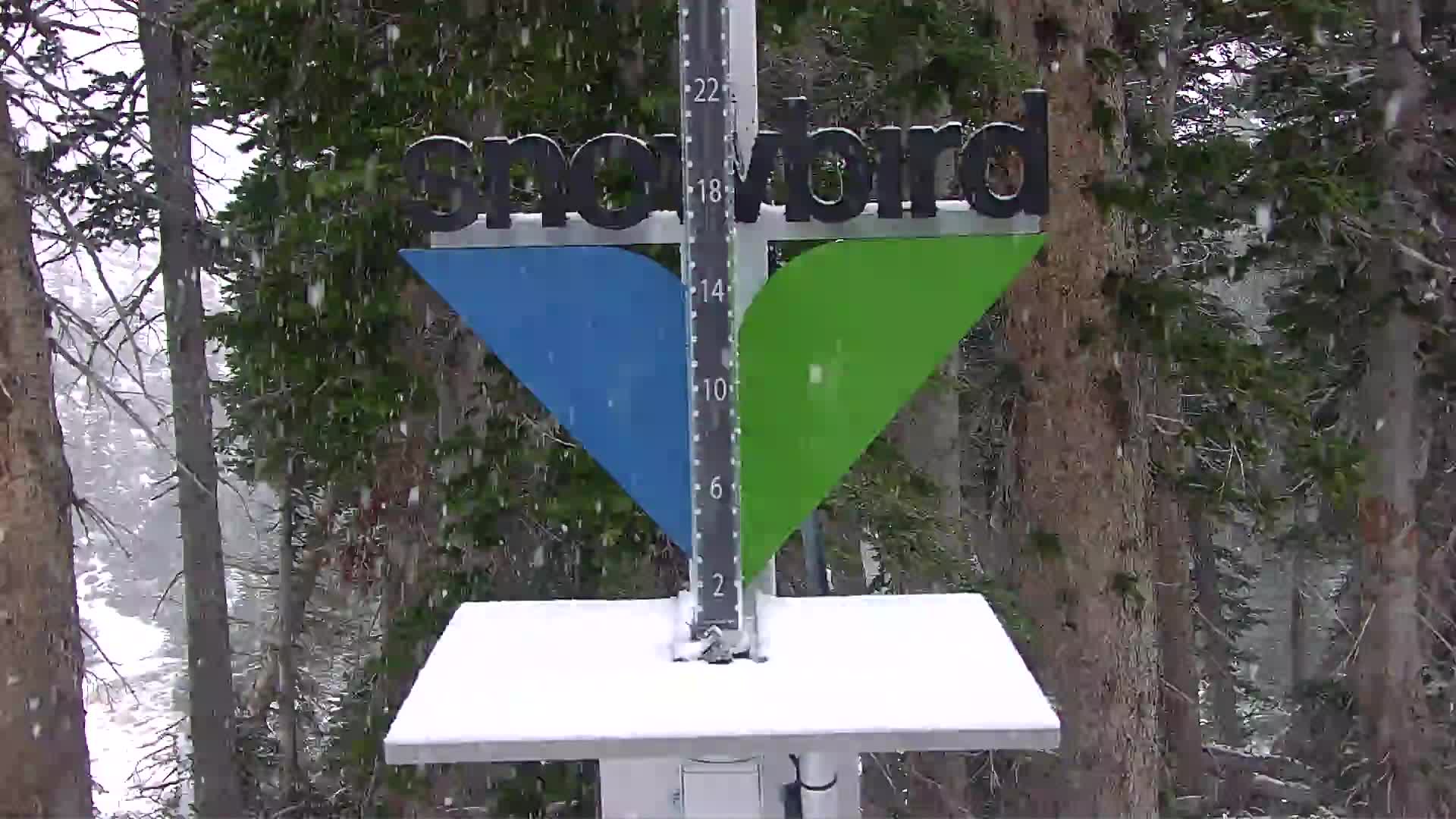 Snowbird Snowstake Cam