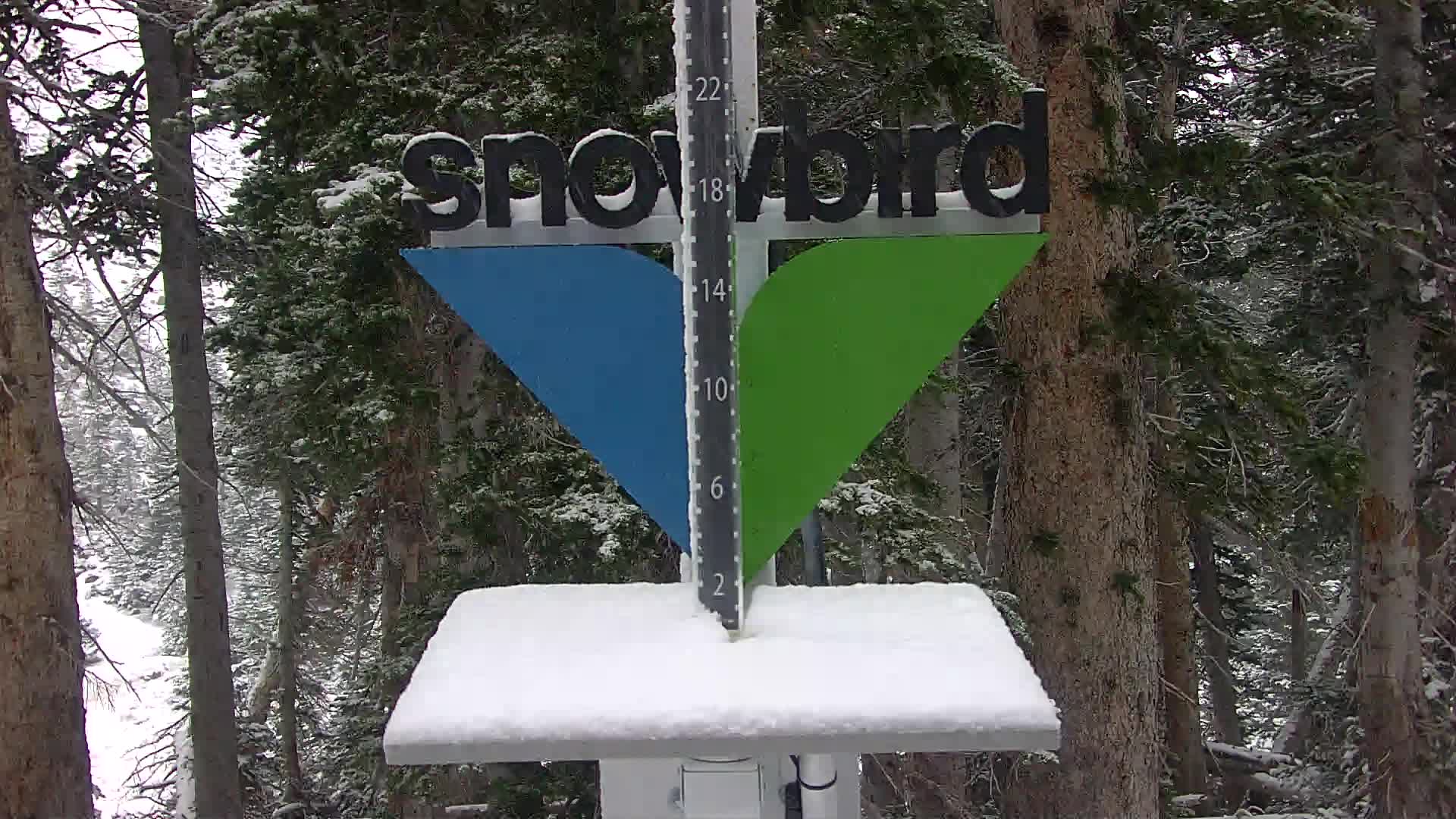 Snowbird Snowstake Cam