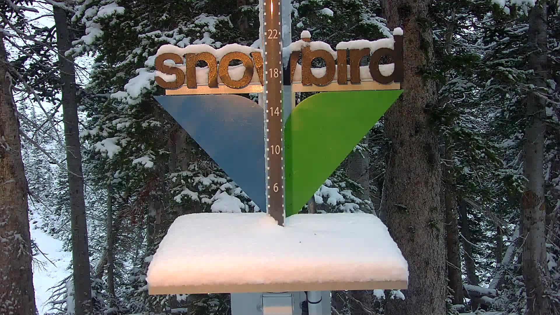Snowbird Snowstake Cam