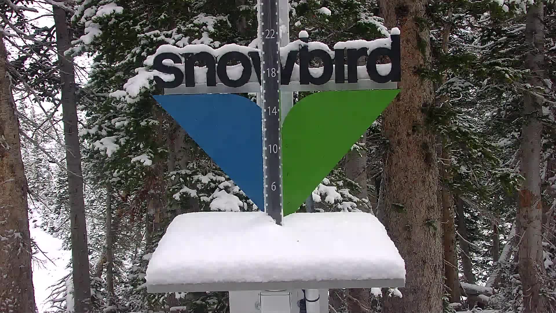 Snowbird Snowstake Cam