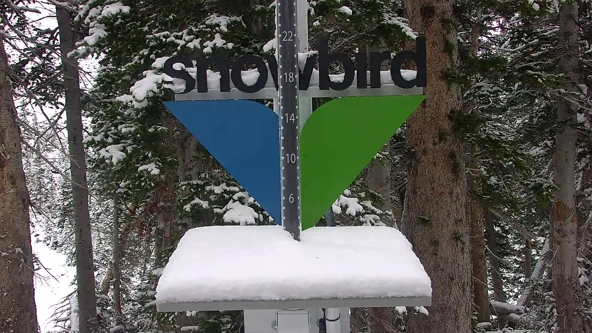 Snowbird Snowstake Cam