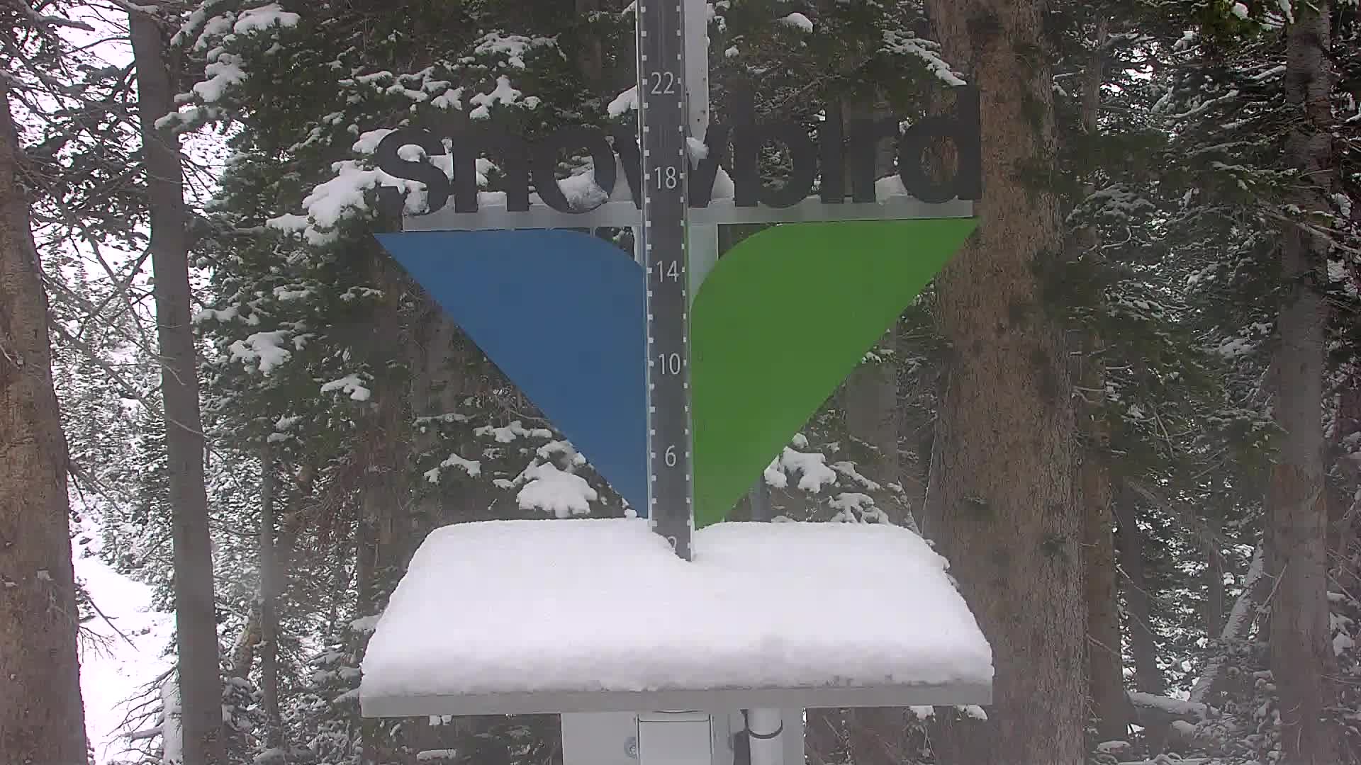 Snowbird Snowstake Cam