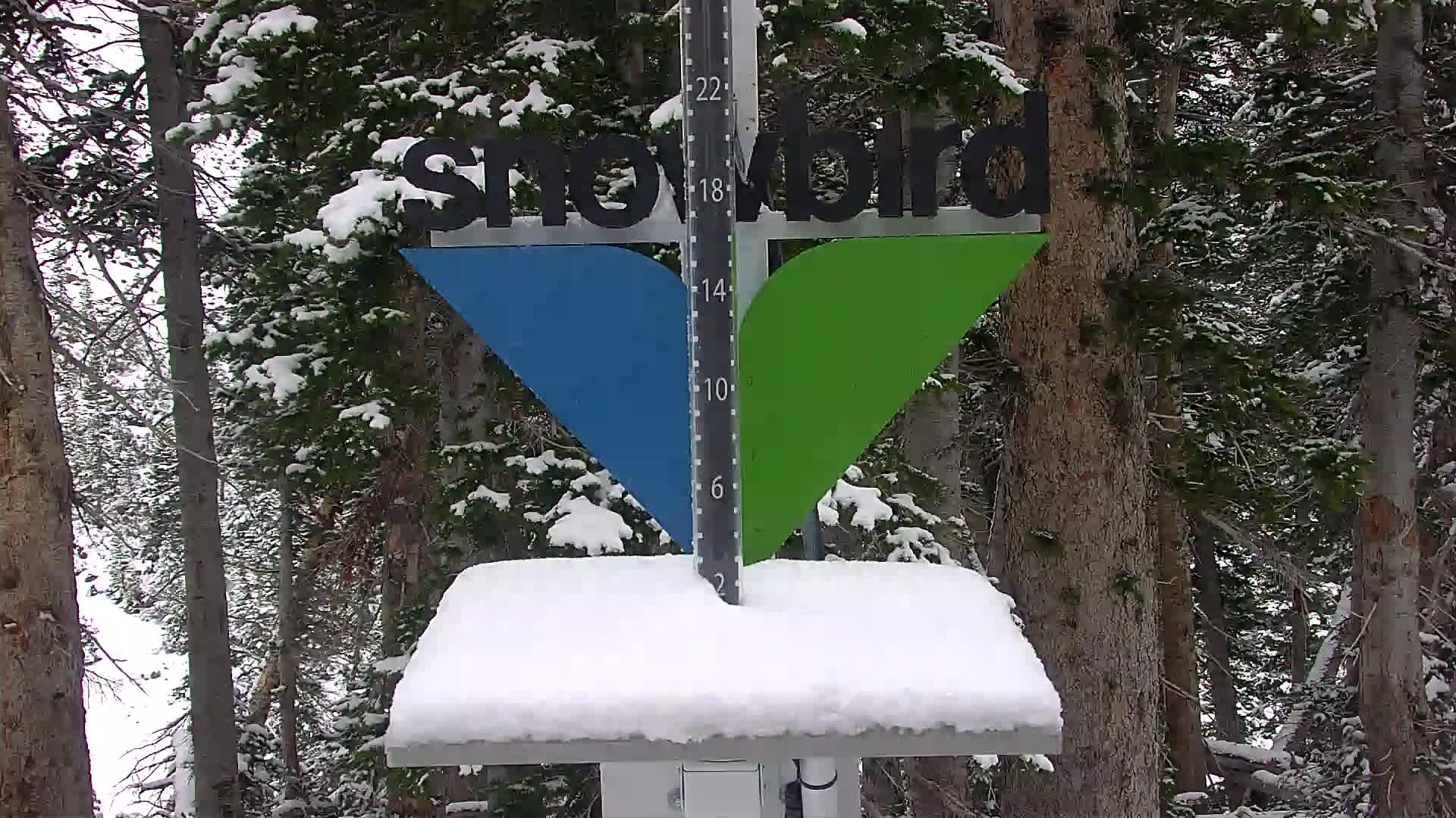 Snowbird Snowstake Cam
