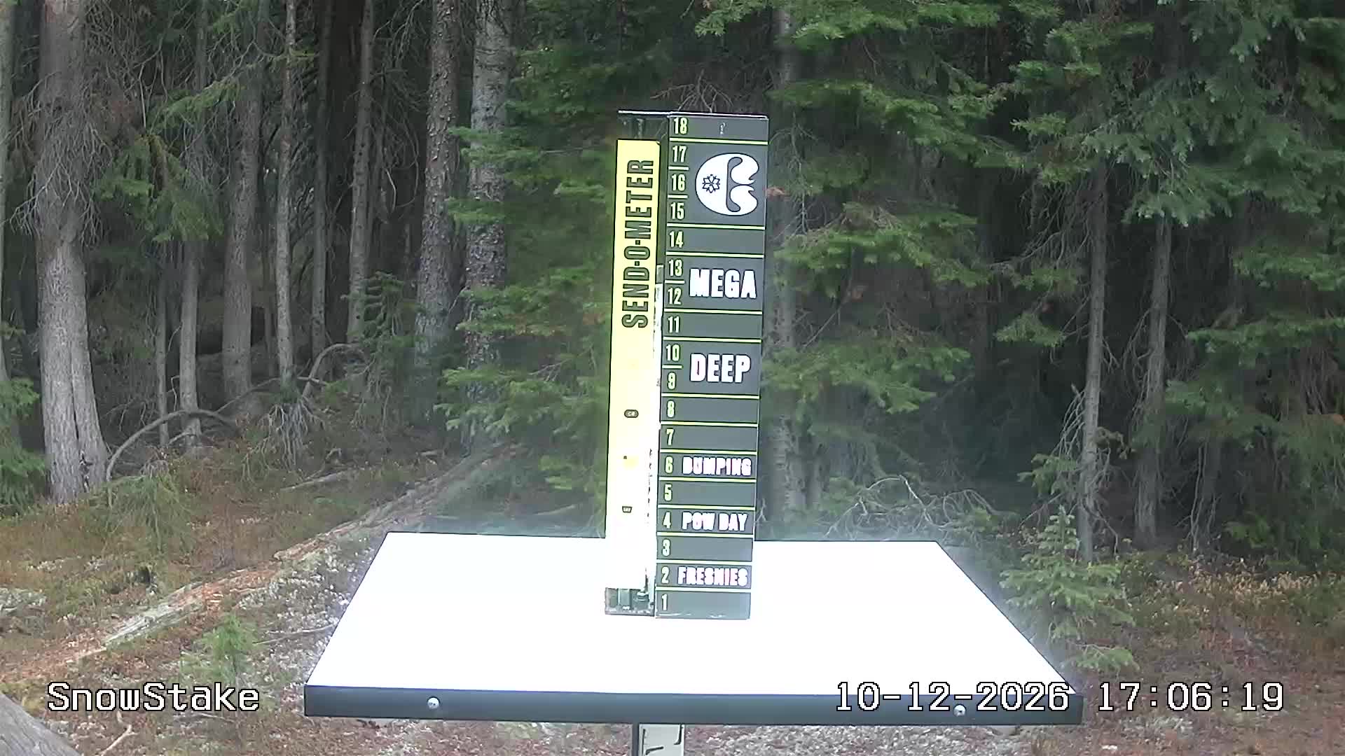 Snowstake Cam