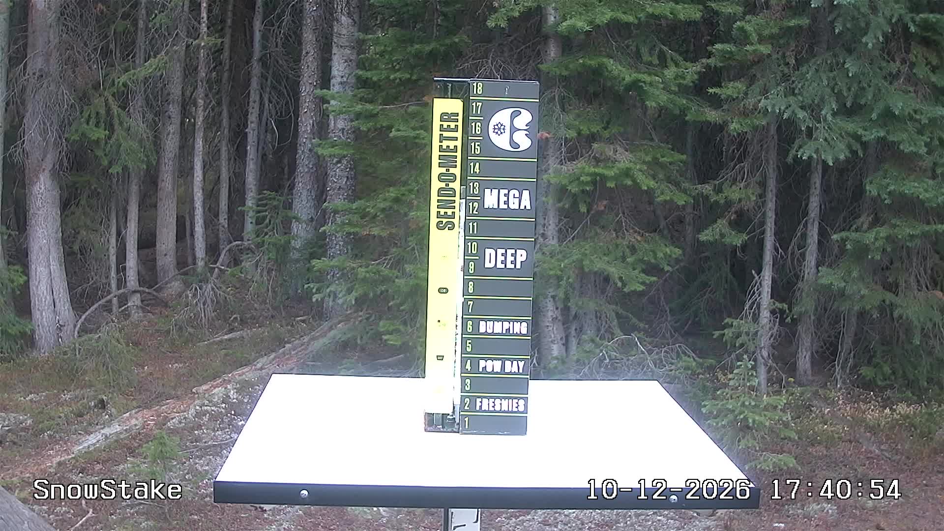 Snowstake Cam