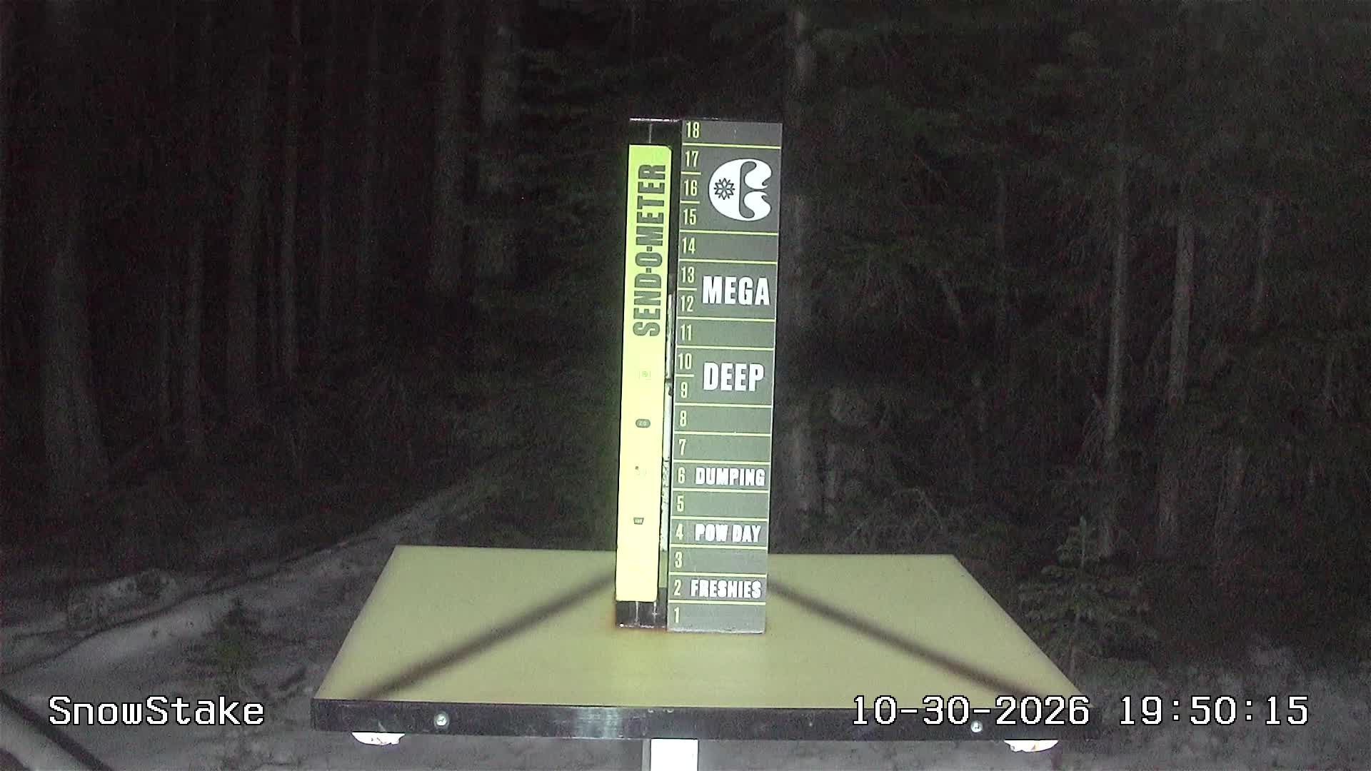 Snowstake Cam