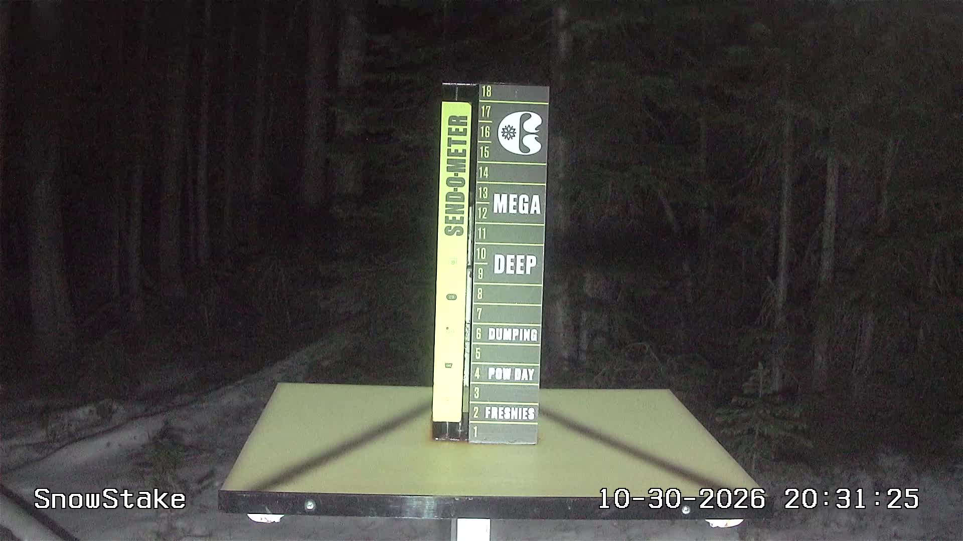 Snowstake Cam